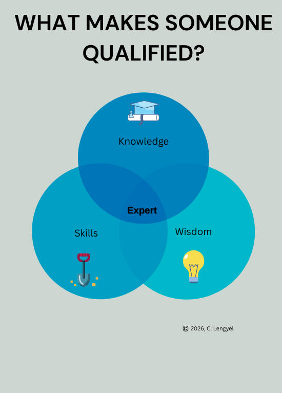 Who We Are: Qaulifications Venn Diagram of Qualification: Knowledge, Skills, and Wisdom intersecting at Expertise